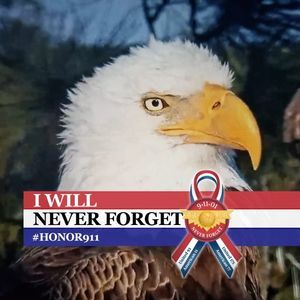 Meet your Posher, Billie